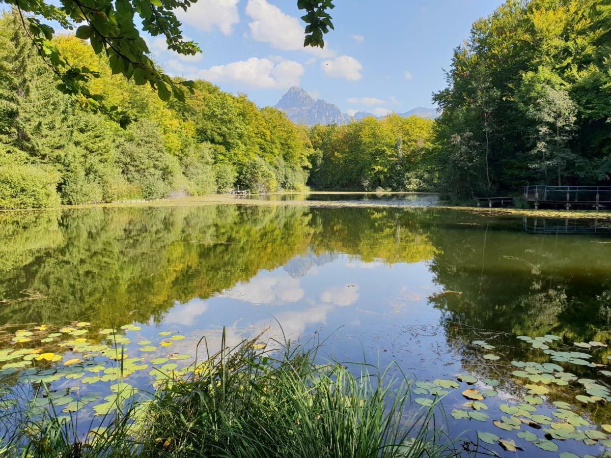 Entre Lac Et Montagnes แบร์เนซ์ ภายนอก รูปภาพ